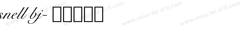 snell bj字体转换